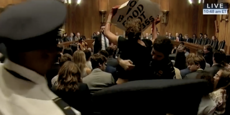 ‘Butcher Of Gaza!’: Pro-Palestinian Protesters Hauled Out Of Congress After Heckling Blinken Testimony